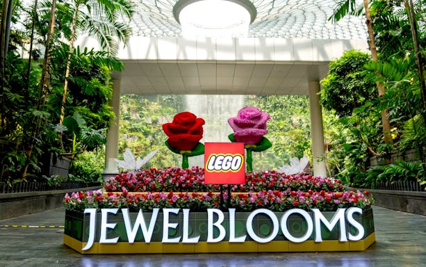 Jewel Changi Airport Canopy Park with LEGO flower display and lush greenery.