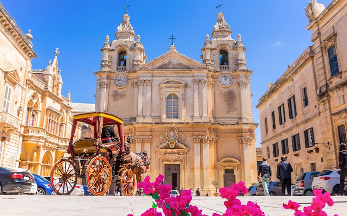 Historic building in Mdina with horse-drawn carriage and pink flowers in foreground.
