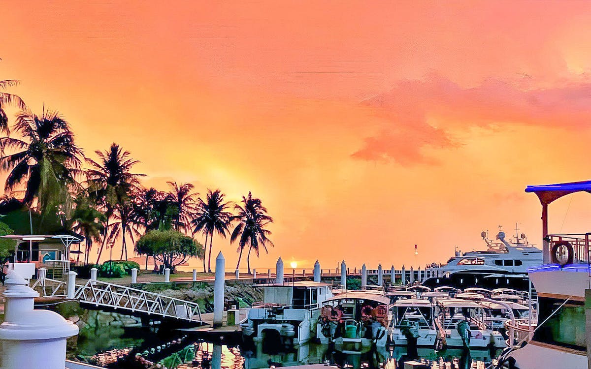 2-hour north borneo cruise with dinner-6 2-hour north borneo cruise with dinner-6