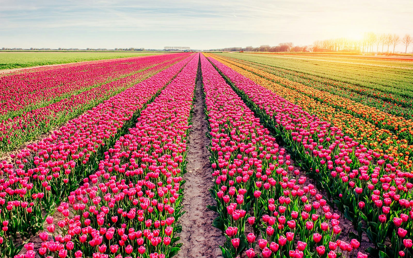 keukenhof tickets