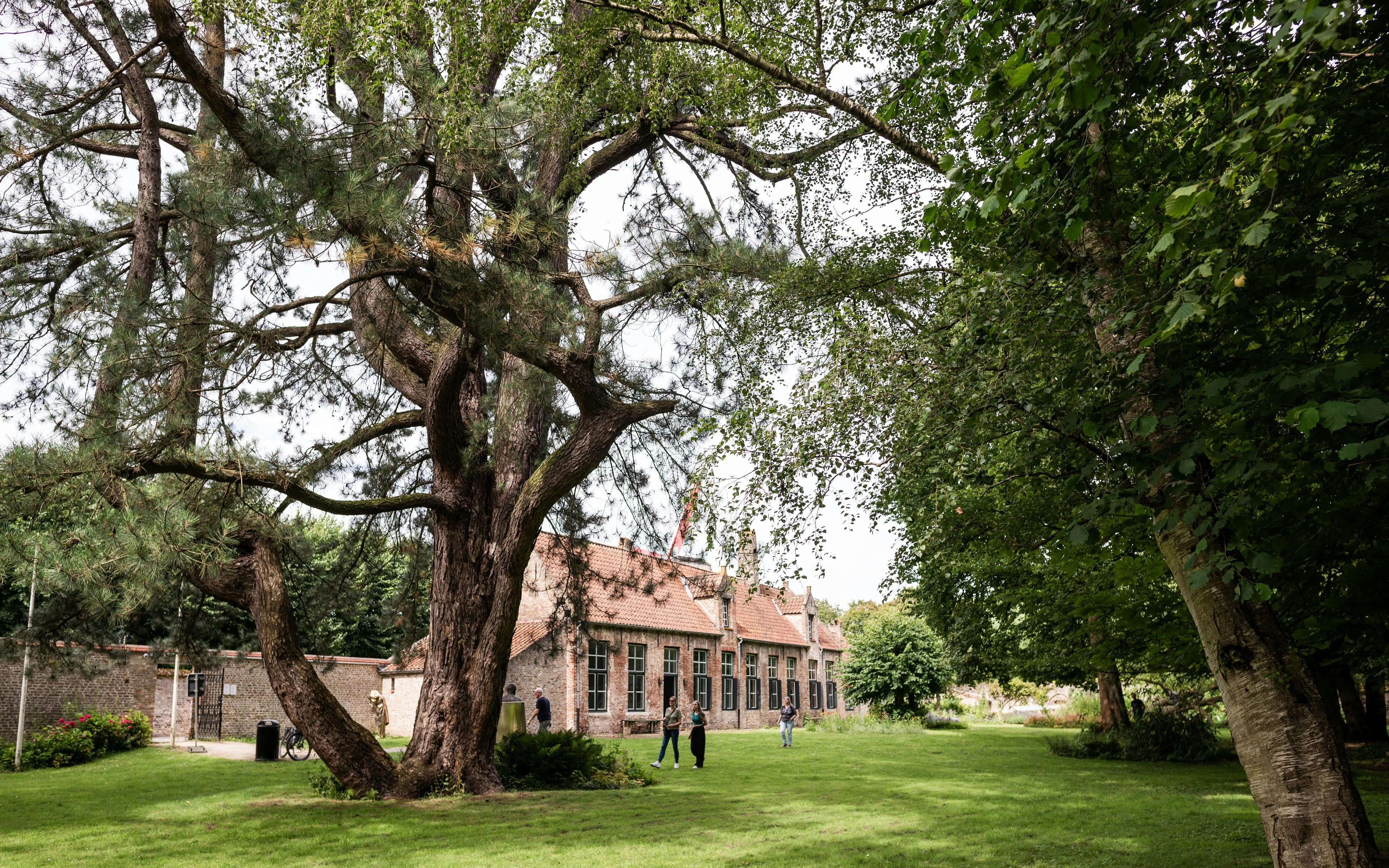Gezellehuis garden with large tree and historic brick building in Bruges.