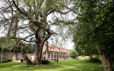 Gezellehuis garden with large tree and historic brick building in Bruges.