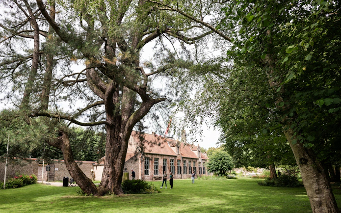 Gezellehuis garden with large tree and historic brick building in Bruges.