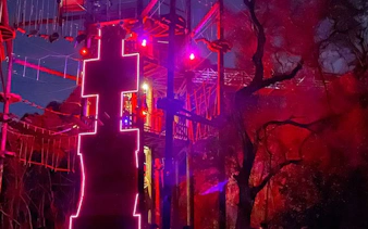Nighttime zipline course illuminated with colorful lights in a forest setting.