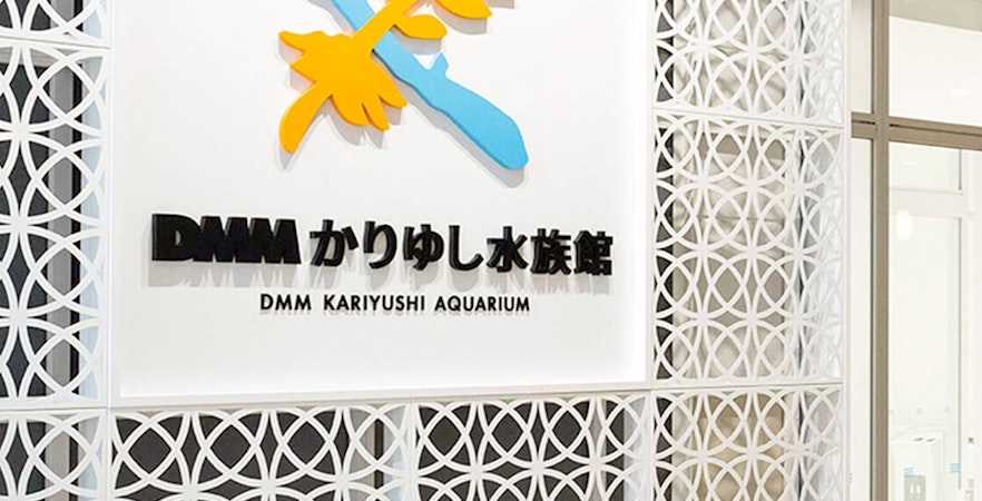 Acuario DMM Kariyushi