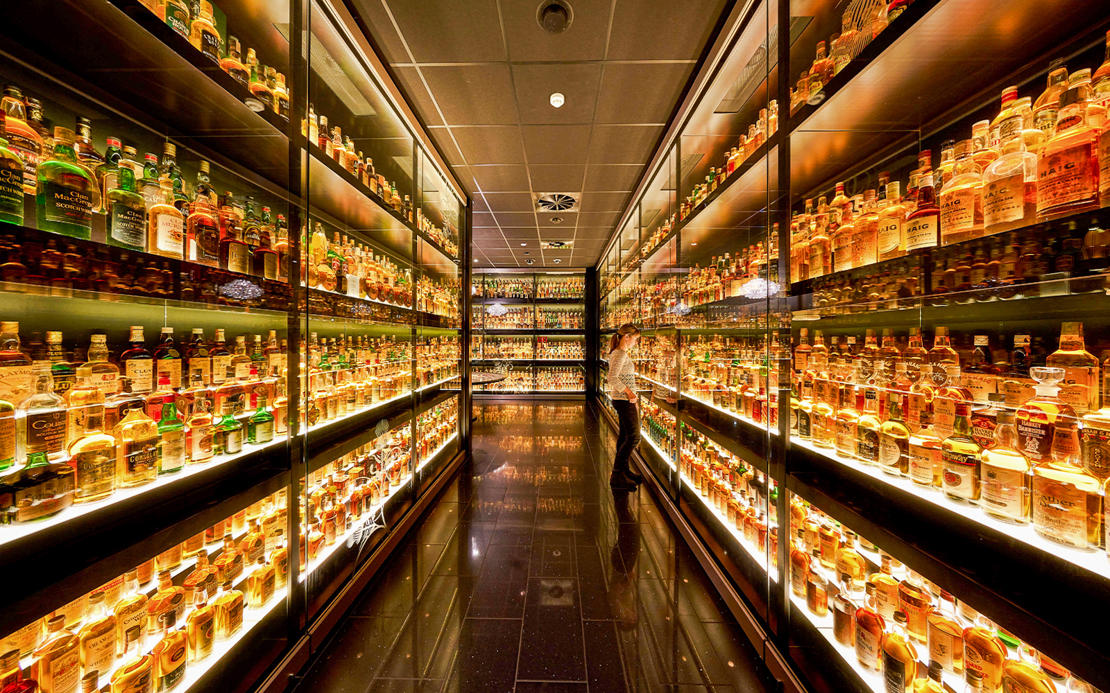 Different kinds of whiskeys displayed at Scotch Whisky Experience, Edinburgh.