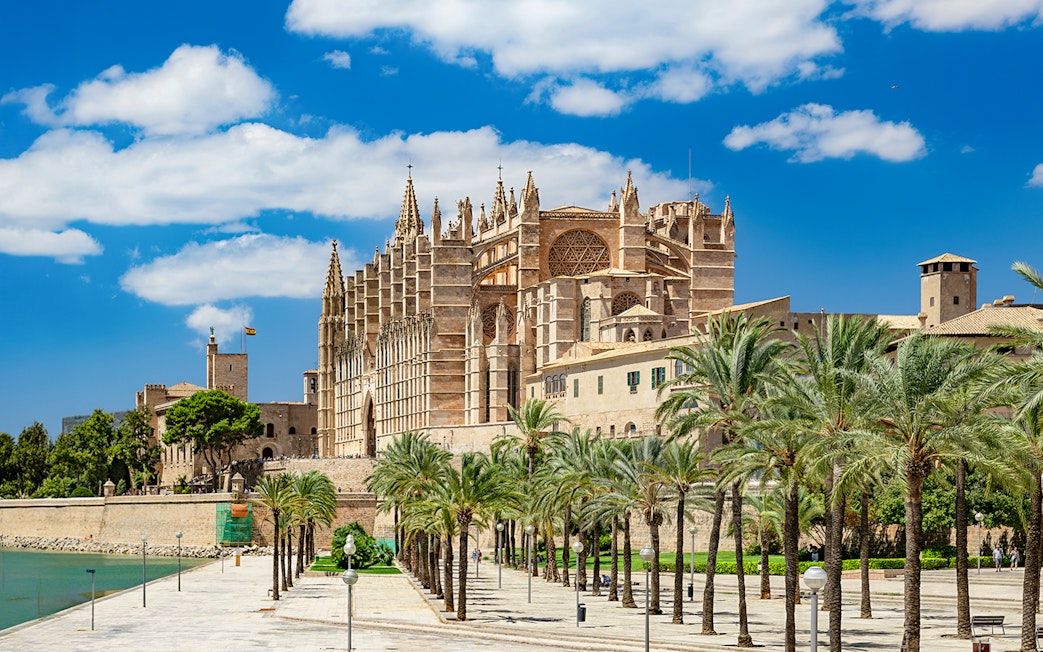 Palma de Mallorca cathedral with palm-lined garden view.