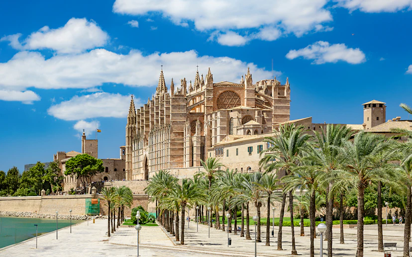 Palma de Mallorca cathedral with palm-lined garden view.