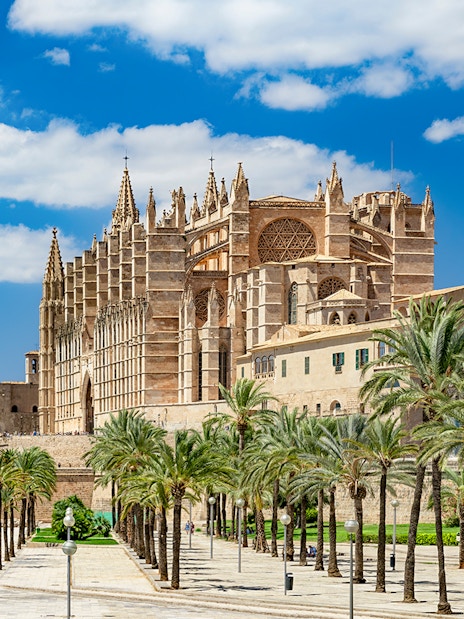 Palma de Mallorca cathedral with palm-lined garden view.