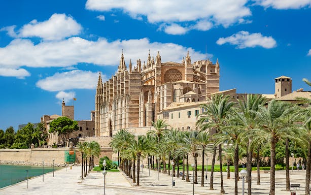 Palma de Mallorca cathedral with palm-lined garden view.