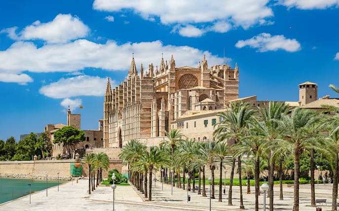 Palma de Mallorca cathedral with palm-lined garden view.