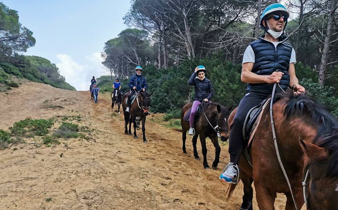 Group horseback riding on a sandy trail in Porto Ferro, surrounded by trees.
