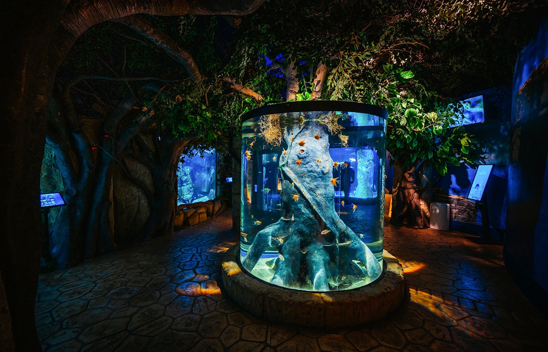 Inside malta aquarium