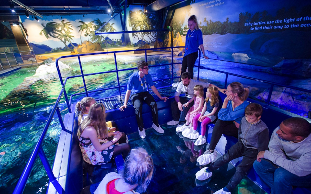 Guests exploring SEA Life Brighton aquarium exhibit.