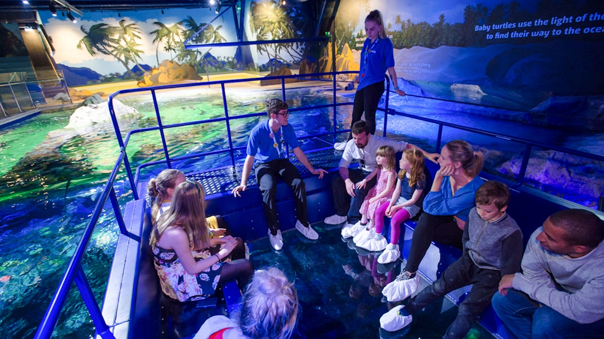 Guests exploring SEA Life Brighton aquarium exhibit.