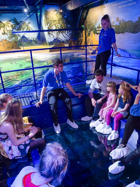 Guests exploring SEA Life Brighton aquarium exhibit.