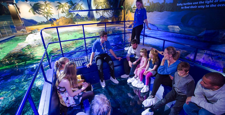 Guests exploring SEA Life Brighton aquarium exhibit.