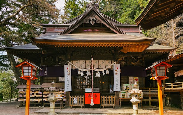 Arakurayama Sengen Park shrine entrance with traditional lanterns, Japan tour.