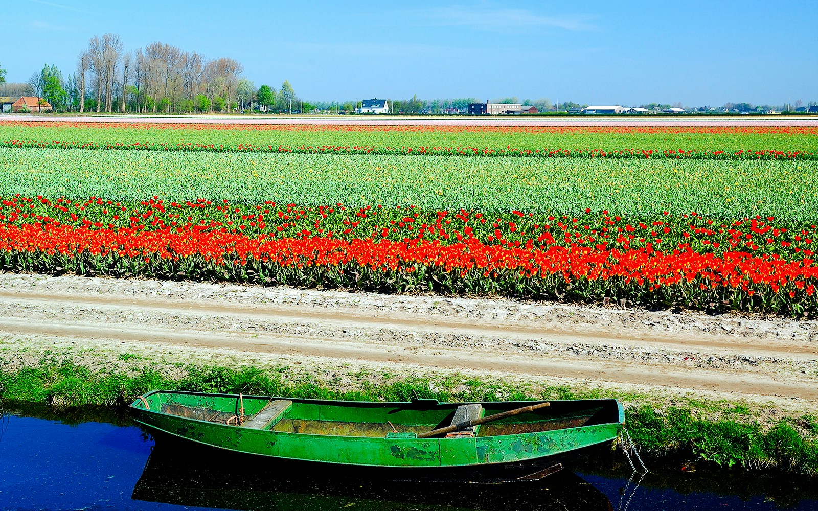 Whisper boat on canal near tulip fields at Keukenhof, Netherlands.