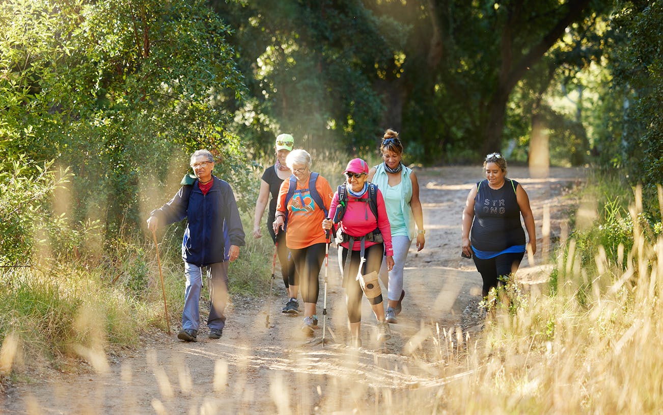 Friends hiking on a forest trail in sunny weather.