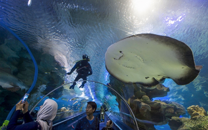 Aquaria KLCC tunnel with visitors viewing diver and stingray overhead.