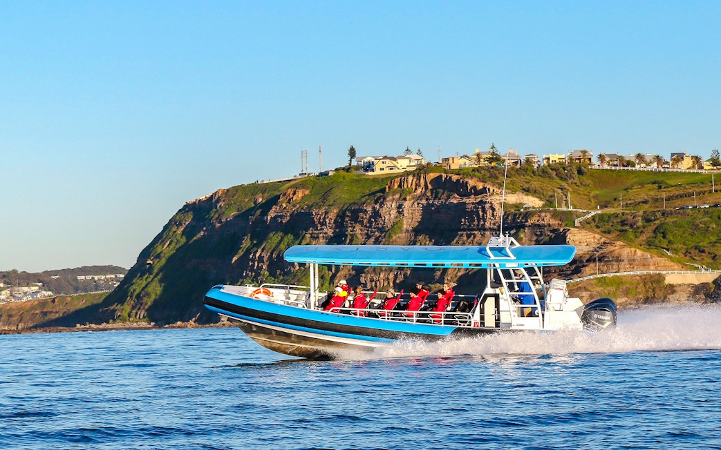 Whale watching boat with people near cliffs in Newcastle, Australia.