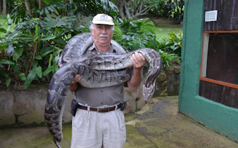 Man holding a large snake at PheZulu Cultural Park during Full-Day Mandela Capture Site tour.