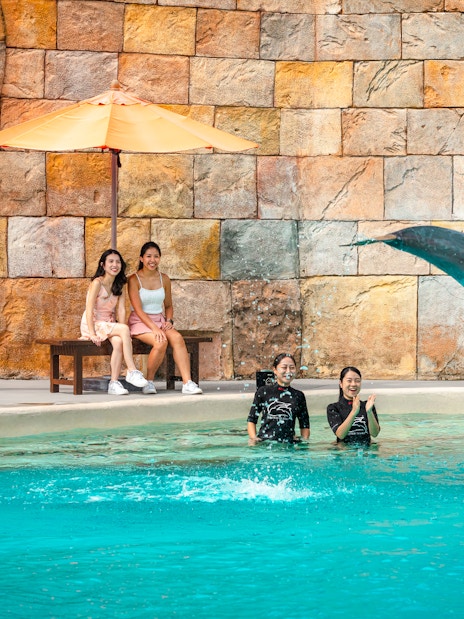 Visitors watching a dolphin jump during the Dolphin Observer Show at Dolphin Island.