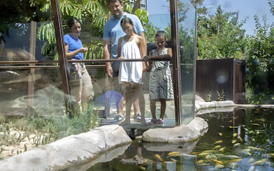 Visitors observing fish at Selwo Marina Park, Spain.