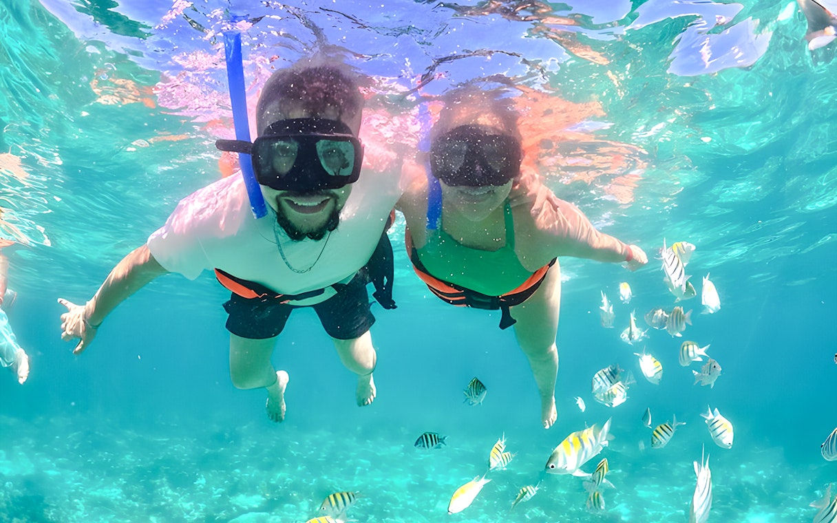 Snorkelers exploring vibrant fish in clear tropical waters.