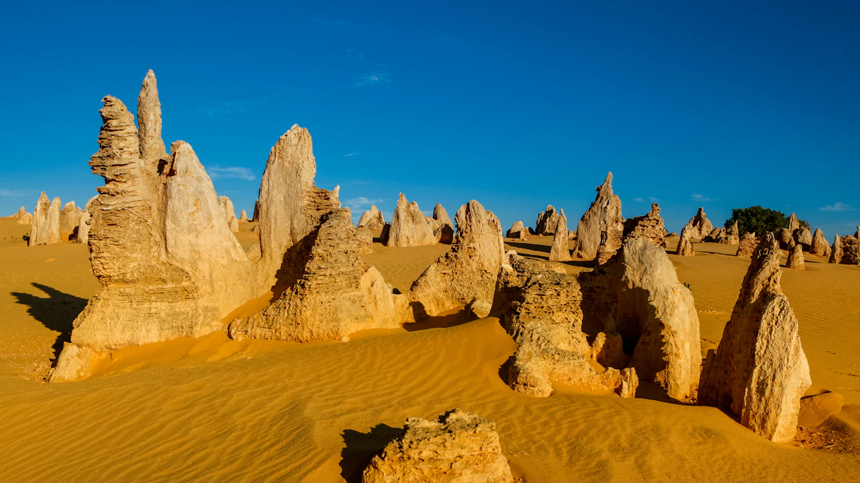 Limestone formations in Pinnacles Desert, Western Australia under a clear blue sky.