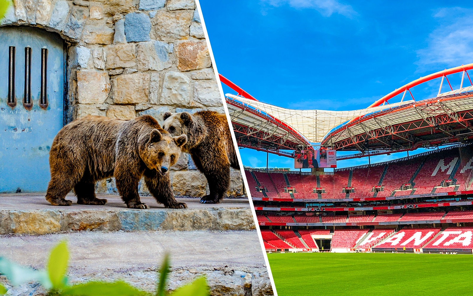 Benfica Stadium with red seating and green field under blue sky.