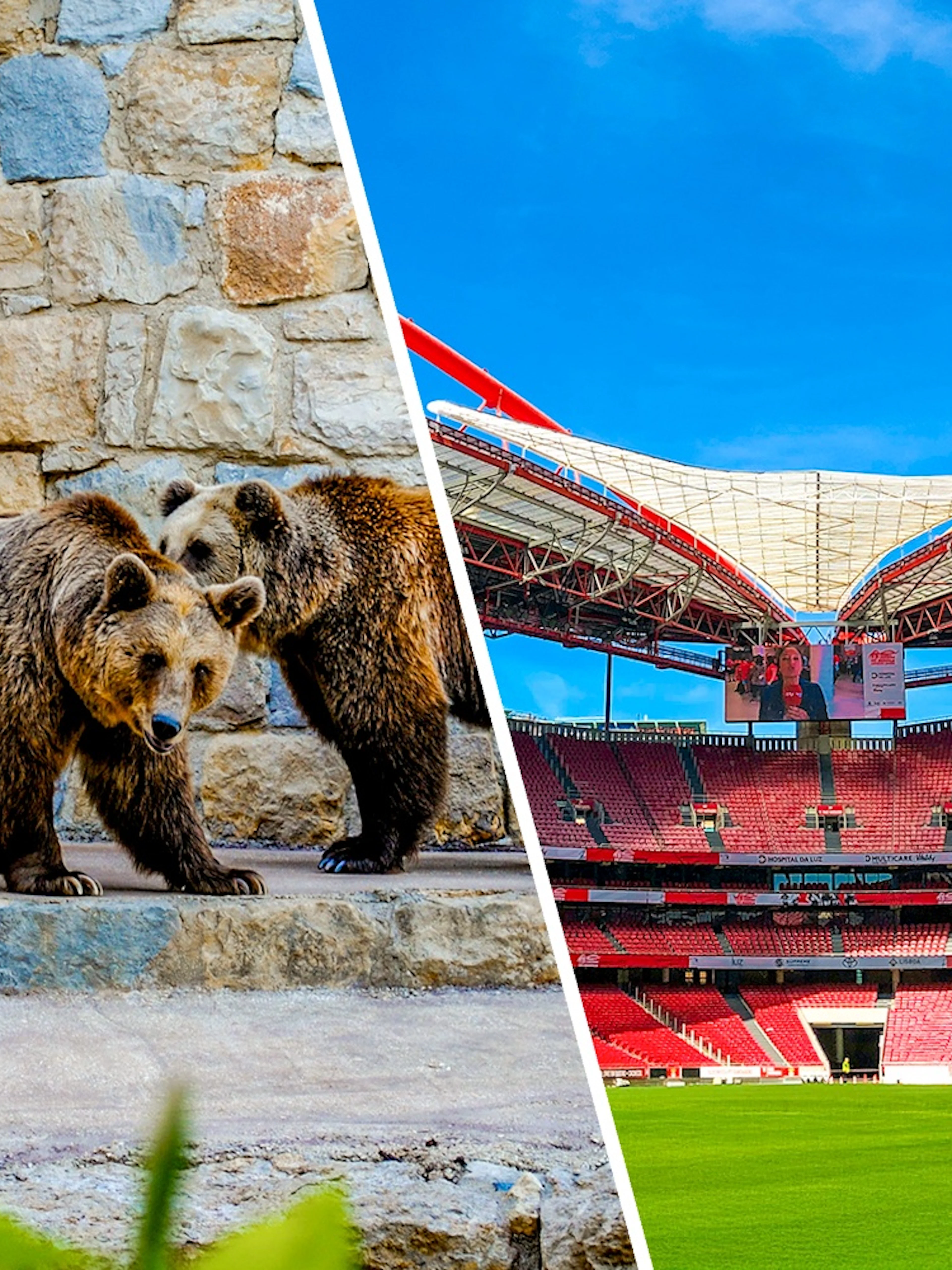 Benfica Stadium with red seating and green field under blue sky.