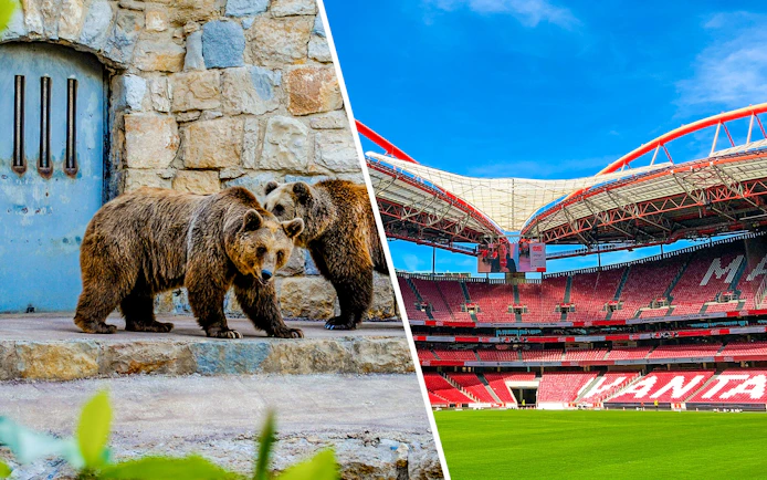 Benfica Stadium with red seating and green field under blue sky.