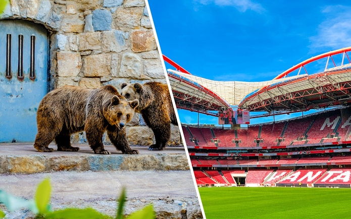 Benfica Stadium with red seating and green field under blue sky.