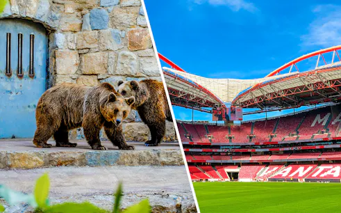 Benfica Stadium with red seating and green field under blue sky.