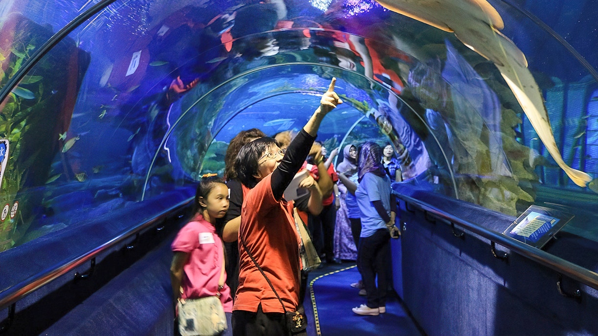 Visitors in underwater tunnel at Aquaria KLCC, observing marine life above.
