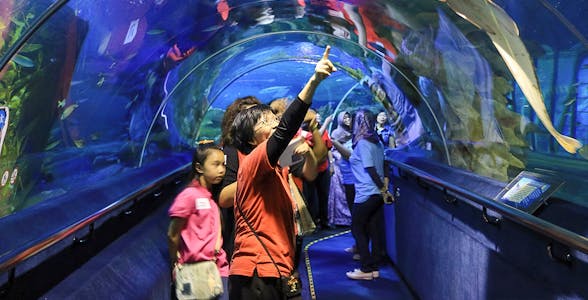 Aquaria KLCC Tickets