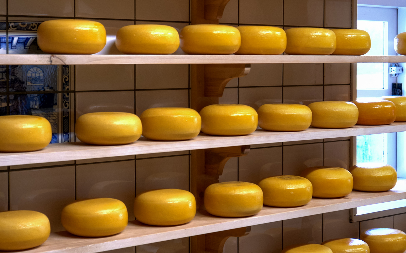 Cheese wheels aging on shelves in a Dutch cheese factory, part of Giethoorn & Zaanse Schans Day Tour.