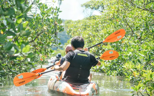 Kayakers paddling through mangrove forest on Iriomote Island, Okinawa.