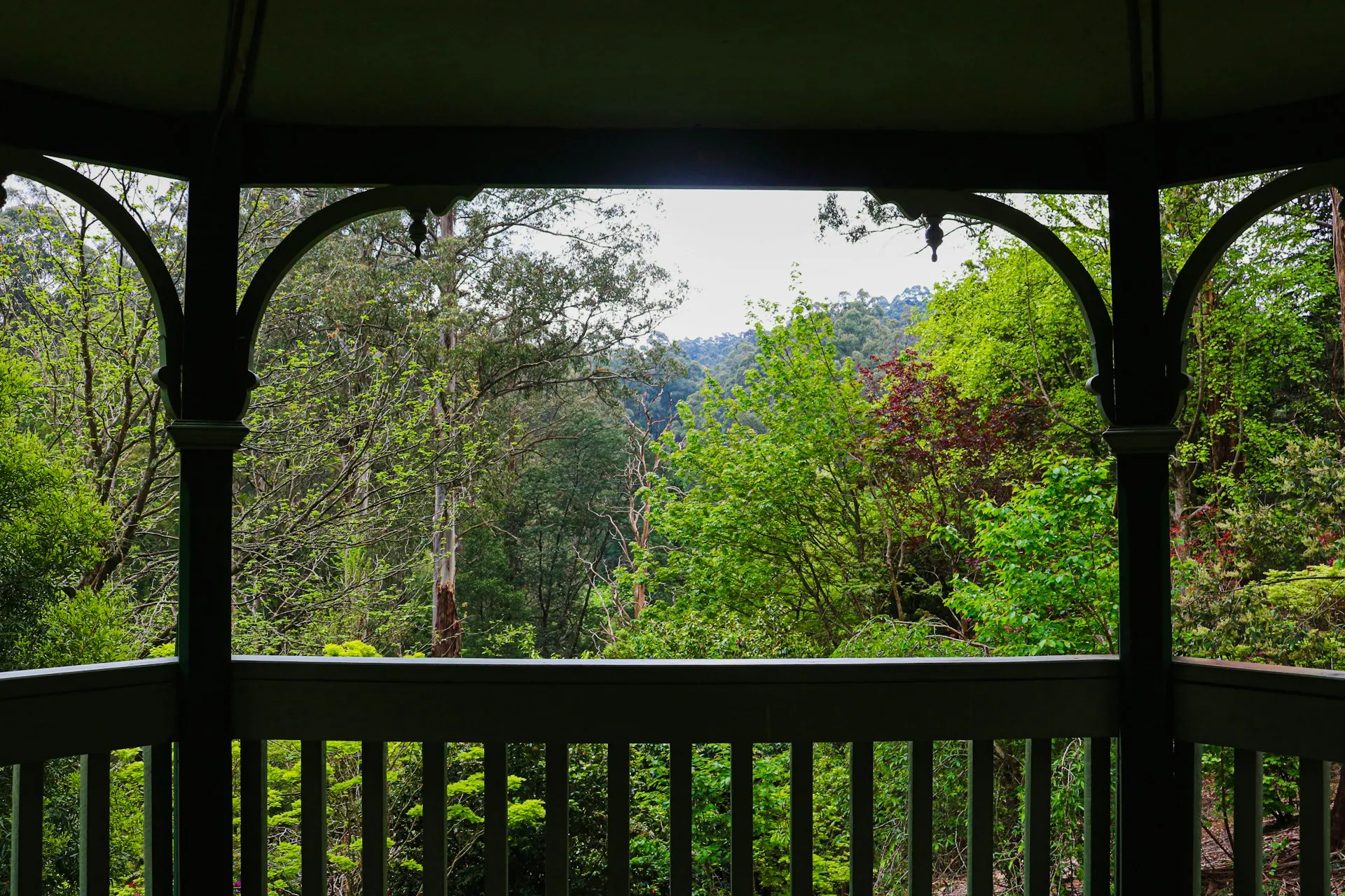 From Melbourne: Mt Dandenong Small-Group Tour Image 8