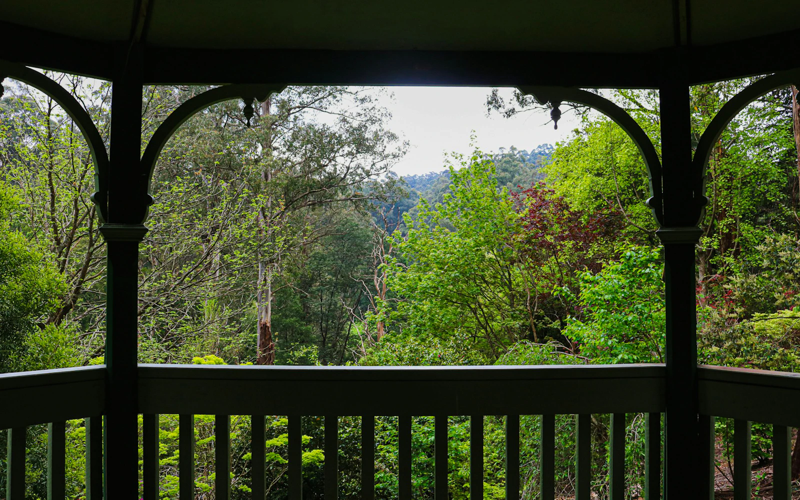 From Melbourne: Mt Dandenong Small-Group Tour Image 8