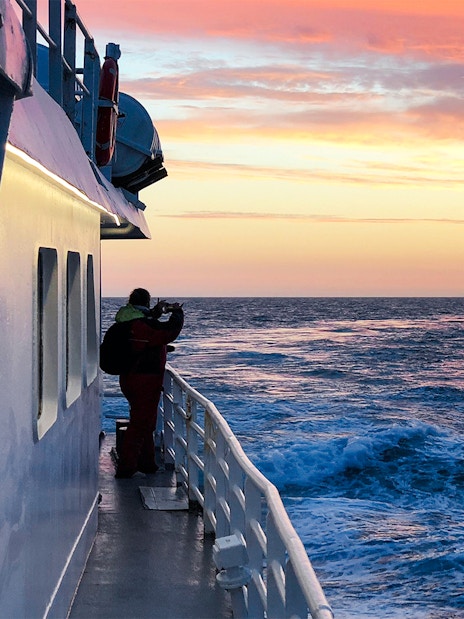 Visitor on a boat watching the ocean during Reykjavik Classic Whales in the Midnight Sun tour.