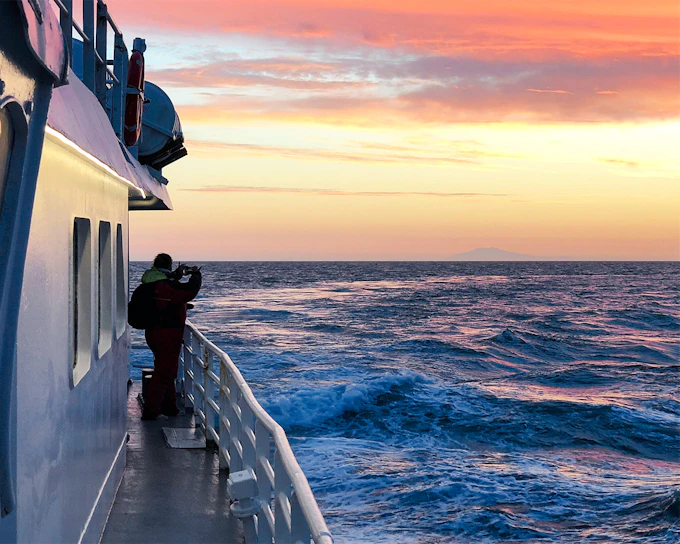 Reykjavik: Midnight Sun Whale Watching Tour