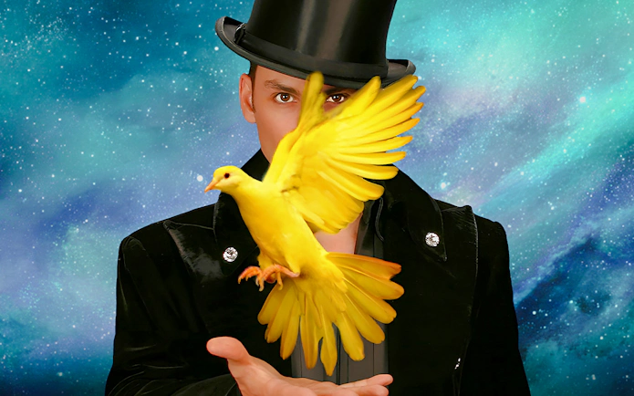 Tickets für „Allstars of Magic“
