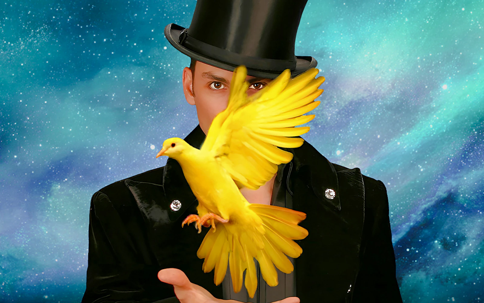 Allstars of Magic Tickets