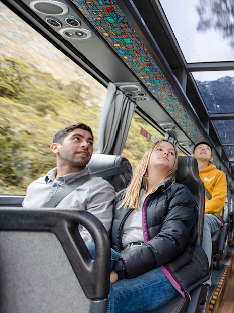 Passengers on a scenic bus tour from Auckland to Hobbiton, Waitomo Caves, and Te Puia.