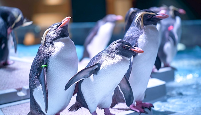 Marineland of Antibes