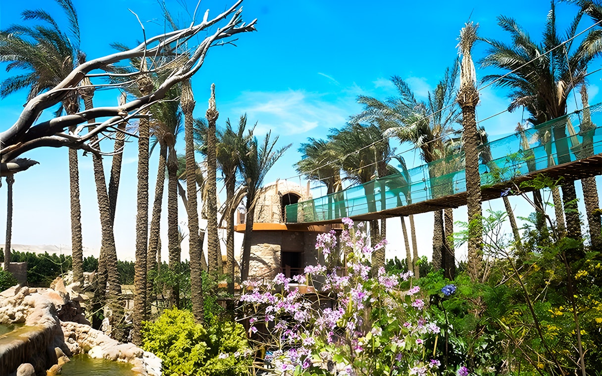 Walkway surrounded by palm trees and flowers at Hurghada Grand Aquarium.