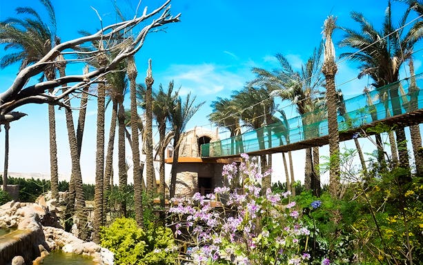 Walkway surrounded by palm trees and flowers at Hurghada Grand Aquarium.